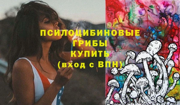 тгк Коряжма