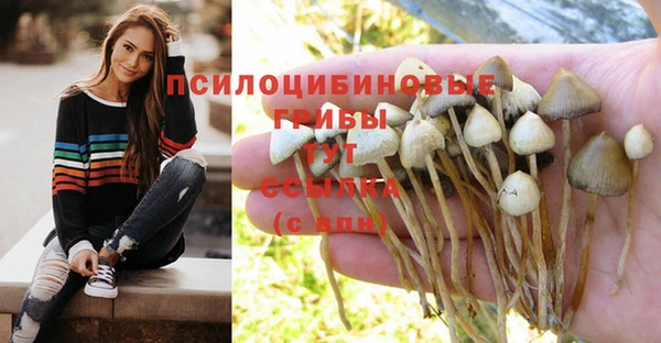 тгк Коряжма
