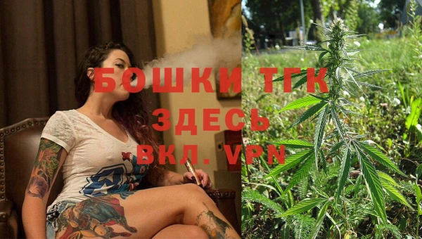 прущая мука Корсаков