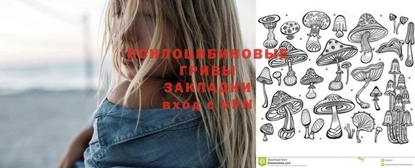 прущая мука Корсаков