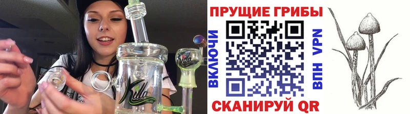 гидра tor  даркнет сайт  Монино  Галлюциногенные грибы GOLDEN TEACHER 